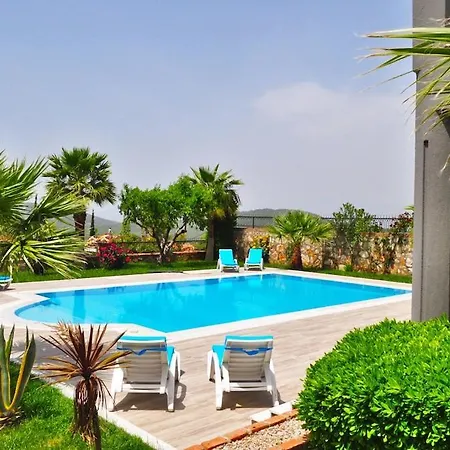 Heights C فتحية